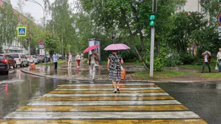 Роман Вильфанд заявил: аномальная зима аукнется весной и летом - синоптики рассказали, чего ждать в 2025 году