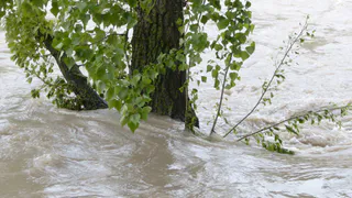 В Пензе устранят подтопление на улице Рябова после запуска КНС