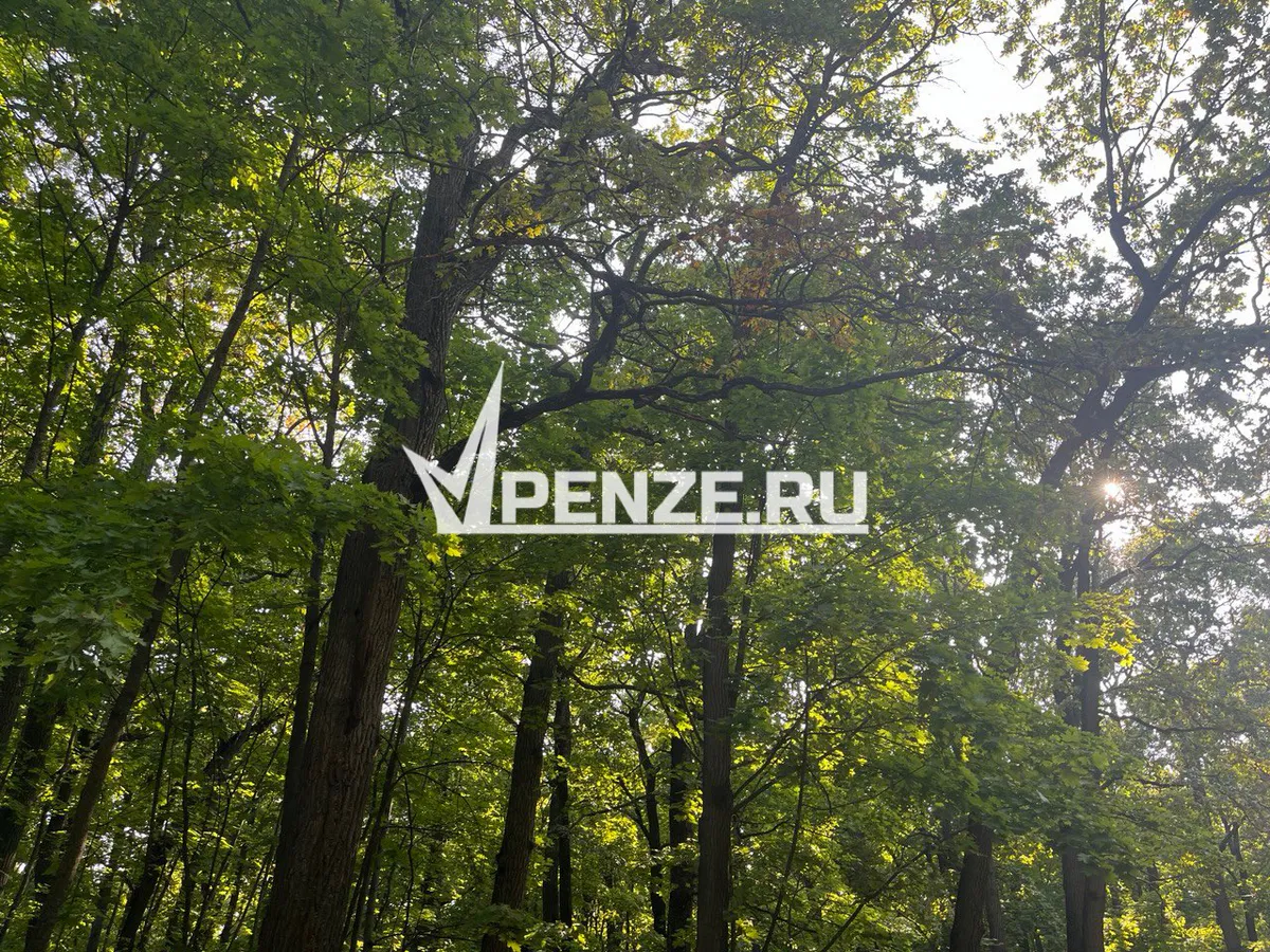 В Пензенской области от укуса клещей пострадал мужчина