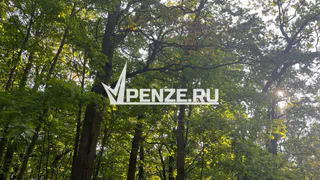 В Пензенской области от укуса клещей пострадал мужчина