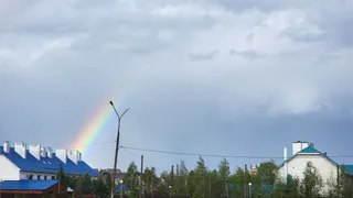 8 июля Челябинская область останется во власти дождливого настроения