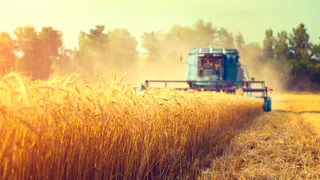 Руководители предприятий АПК Рязанской области могут принять участие в отраслевом рейтинге ТОП-менеджеров «Соль земли»