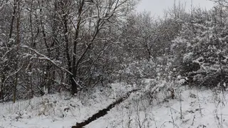 Весной ударят аномальные морозы похлеще зимних. Синоптики дали новый прогноз на март и апрель