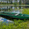 От зубров до «деревянной Третьяковки»: пять уникальных мест Брянской области, которых нет больше нигде в России
