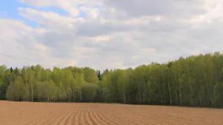 Одно из сел Рязанской области бесплатно сдавало в аренду землю