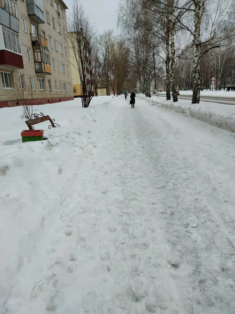 Жительница Нижнекамска просит очистить пешеходную дорогу от снега