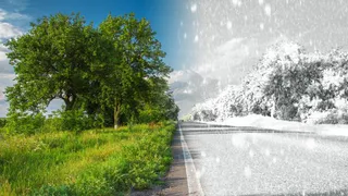 Днем 9 мая пообещали 15 градусное тепло на смену ночным заморозкам