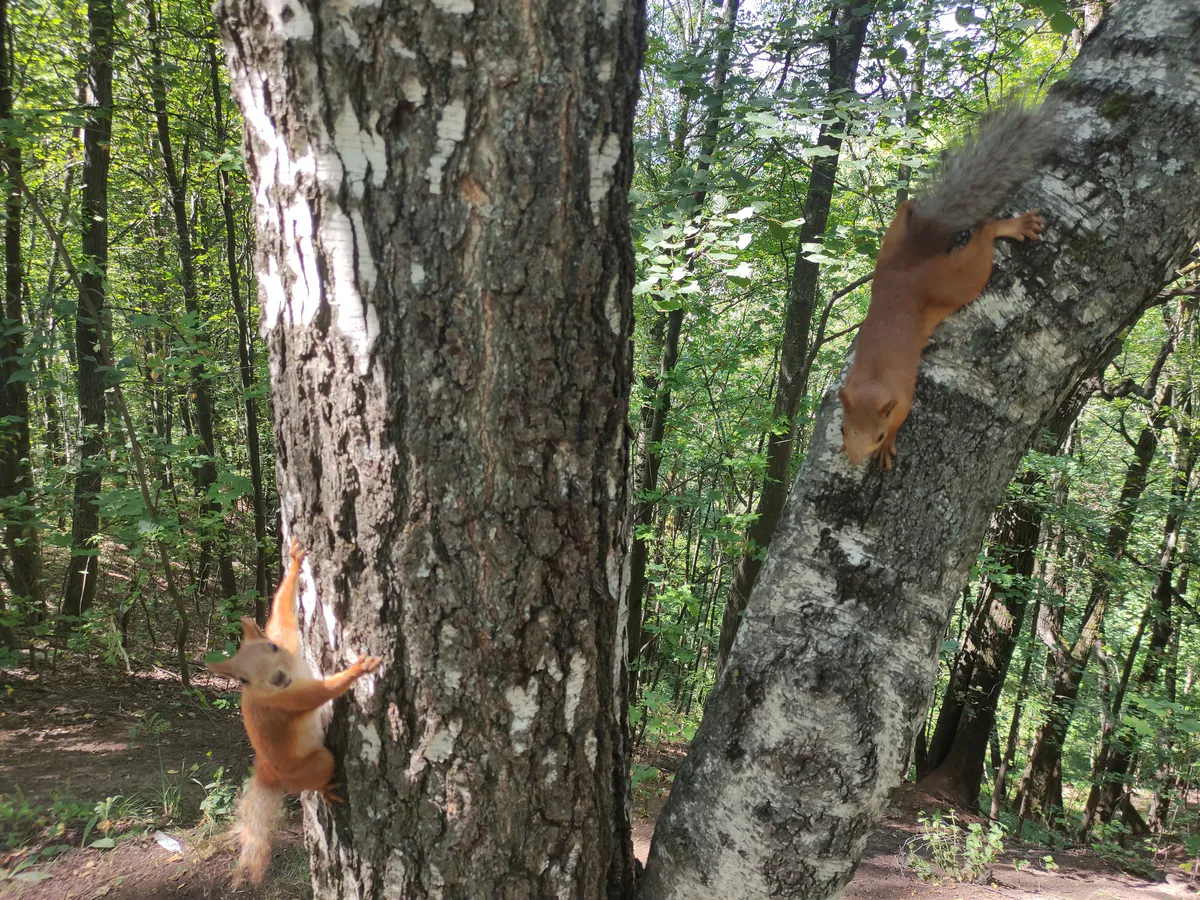 В Челябинской области ожидается потепление до 27 градусов