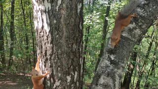 В Челябинской области ожидается потепление до 27 градусов