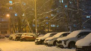 В Пензе 25 февраля ожидаются снег и умеренный мороз