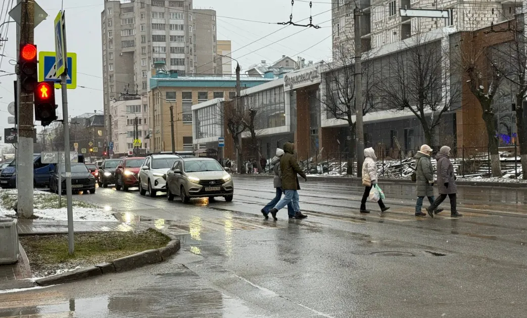 Что такое "Приказ №264 ГИБДД" и почему его должен знать каждый водитель