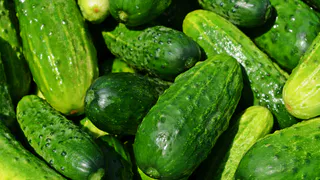 Удивительные огурцы: восемь сортов с высокой урожайностью для ваших заготовок и салатов