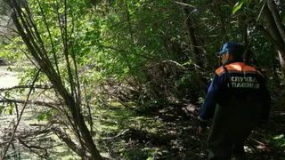 Пропавший месяц назад в Коми мужчина найден мертвым