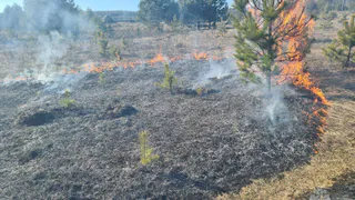 Житель Коврова оштрафован на 40 тысяч рублей за нарушение правил безопасности при сжигании мусора