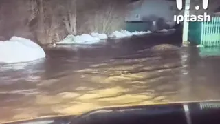 Жители СНТ "Отделочник" в Челнах всю ночь спасали кошек, собак и соседей во время потопа