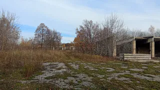 В Рязани нашли участок для строительства приюта для животных