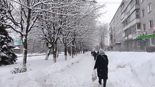 Синоптики предупредили об аномальных холодах в феврале во Владимире