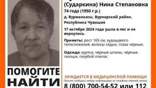 В Чувашии продолжаются поиски 74-летней Нины Зубовой, которая ушла в лес и не вернулась