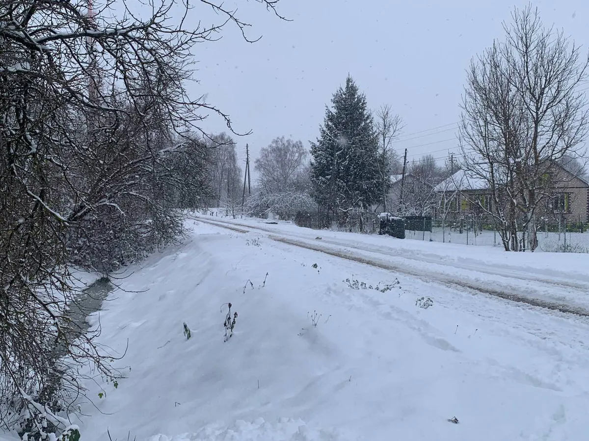 «Новый год даст нам всем прикурить». Синоптики рассказали, к чему готовиться