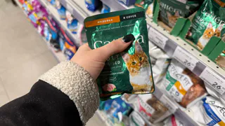 "Не травите этим домашних кошек": в Роскачестве назвали самые худшие марки корма для питомцев - обходите за километр 