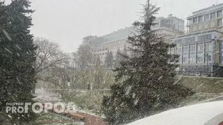 Штормовое предупреждение объявлено в Челябинской области из-за сильных снегопадов