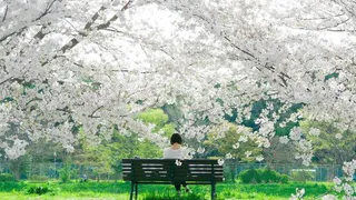 Погода недели: в России от ноля до +30