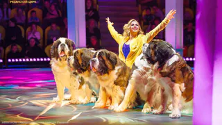 В Рязанском цирке провели представление для семей участников СВО