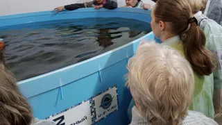 Учителя из Коми освоили азы сельского хозяйства в Тимирязевской академии