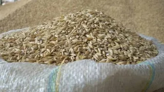 Во Владимирской области обнаружен фуражный корм, произведённый «авансом»