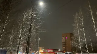 «Декабрь и январь готовят чудовищные циклоны». Синоптики назвали, к чему стоит всем готовиться