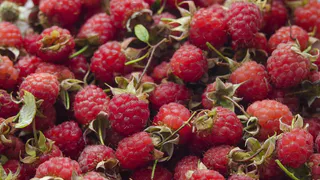 Эта ягода — самая вредная: а мы едим ее, покупаем как деликатес, так еще и детей заставляем есть