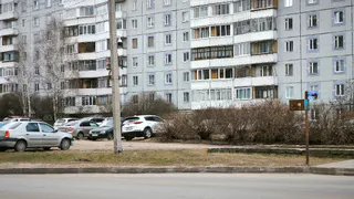 Экологические акции станут одним из приоритетов молодёжки в Коми