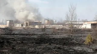 И до коров добралось: в Сасовском районе из-за поджога травы загорелась ферма