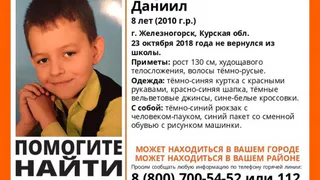 Ребёнок, разыскиваемый брянскими волонтерами в Курской области, был убит