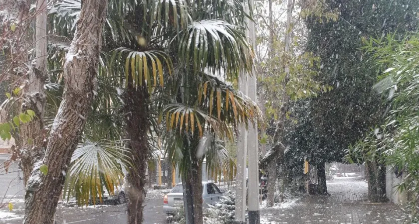 Роман Вильфанд: ждут аномалии во второй половине лета — смерчи, град, потопы. Погода продолжает подкладывать свинью