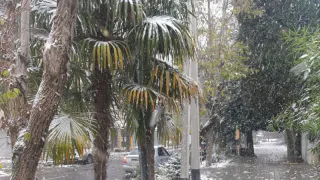 Роман Вильфанд: ждут аномалии во второй половине лета — смерчи, град, потопы. Погода продолжает подкладывать свинью