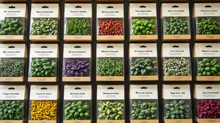 Выбирайте цветы под участок — а не участок под модные сорта: что подойдет именно вашему саду