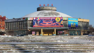 Ждать ли открытия рязанского цирка в марте? Все, что известно на данный момент