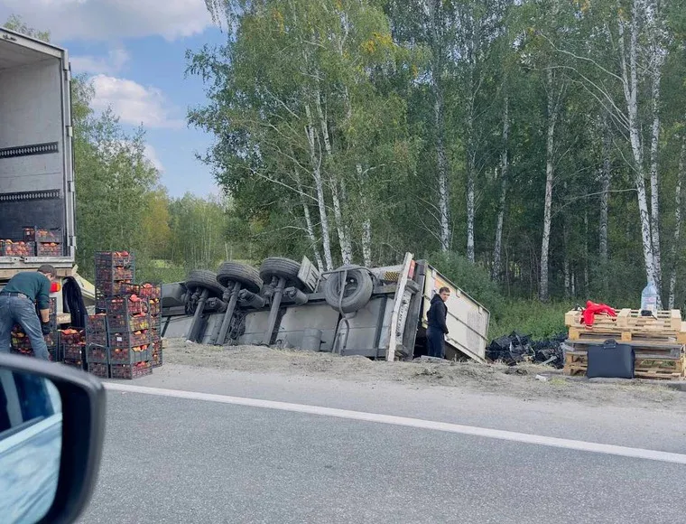 В Челябинской области перевернулась фура с яблоками