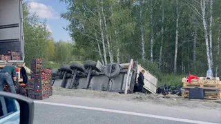 В Челябинской области перевернулась фура с яблоками
