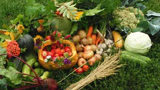 В Нижнекамске проводится выставка «Дары осени - 2016»