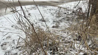 15 марта в Коми плюсовая температура накроет всю территорию