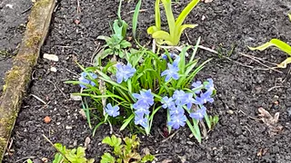 7 мая северные районы республики встретят мокрым снегом и туманом, а южные — первым теплом