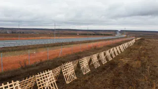 На М-12 в Чувашии высадят 52 тысячи деревьев от заносов