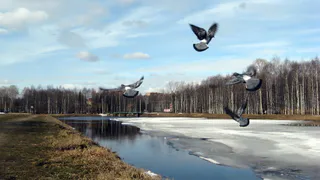 Синоптики спрогнозировали потепление до +16 на юге Коми