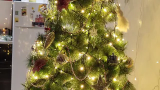 Жителям Чувашии рассказали, как подарить вторую жизнь новогодней елке
