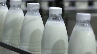 Пищепром Коми наращивает обороты: мясо и сыры лидируют в позитивной динамике