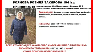 В Нижнекамске снова пропал человек