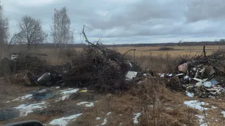 Коллективная жалоба жителей Собинского района привела к ликвидации свалок