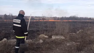 Во Владимире спасатели потушили надвигающийся на автозаправку огонь